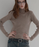 プレーティングリブニットトップス