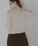 プレーティングリブニットトップス