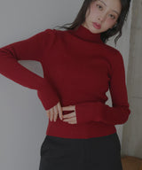 【9月下旬予約商品】カシミヤタッチリブハイネックニット