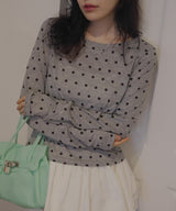 ドット柄ロングシアーTシャツ